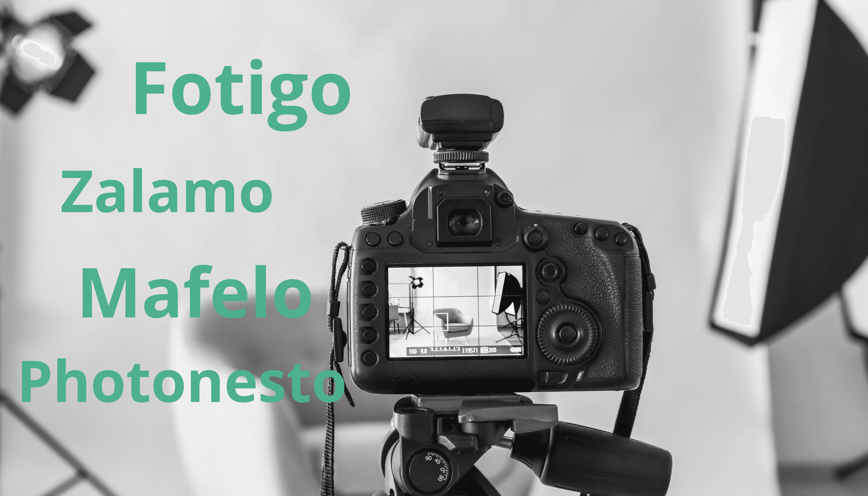 Porównanie Systemów dla Fotografów: Fotigo, Zalamo, Mafelo, Photonesto – Który wybrać?